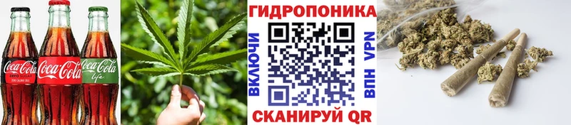 KRAKEN ONION  цена наркотик  Цивильск  Canna-Cookies конопля 