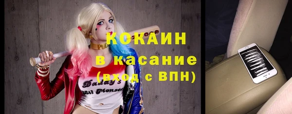 стаф Арсеньев