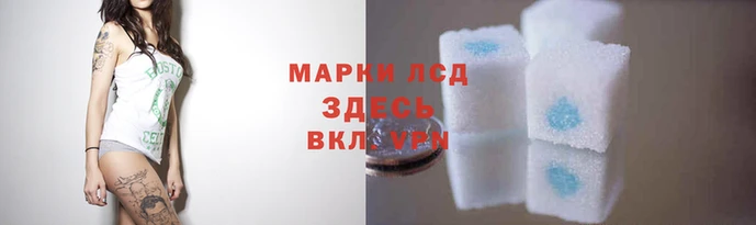 стаф Арсеньев