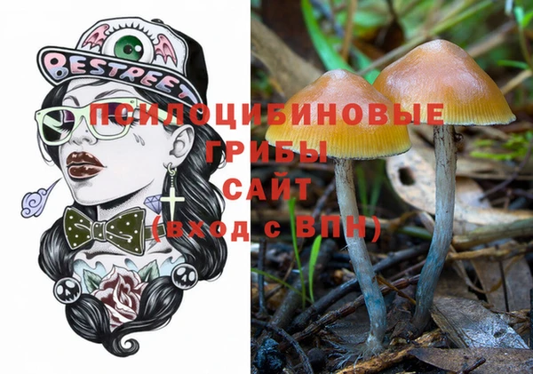 стаф Арсеньев