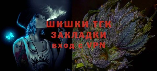 стаф Арсеньев