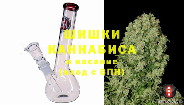 стаф Арсеньев
