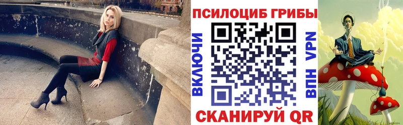 Галлюциногенные грибы Psilocybine cubensis mega вход Цивильск