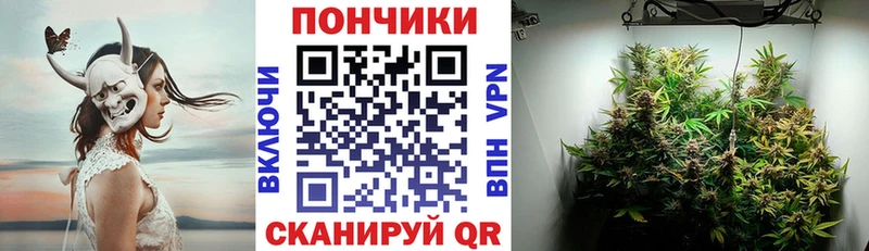 Канабис ГИДРОПОН  Цивильск 